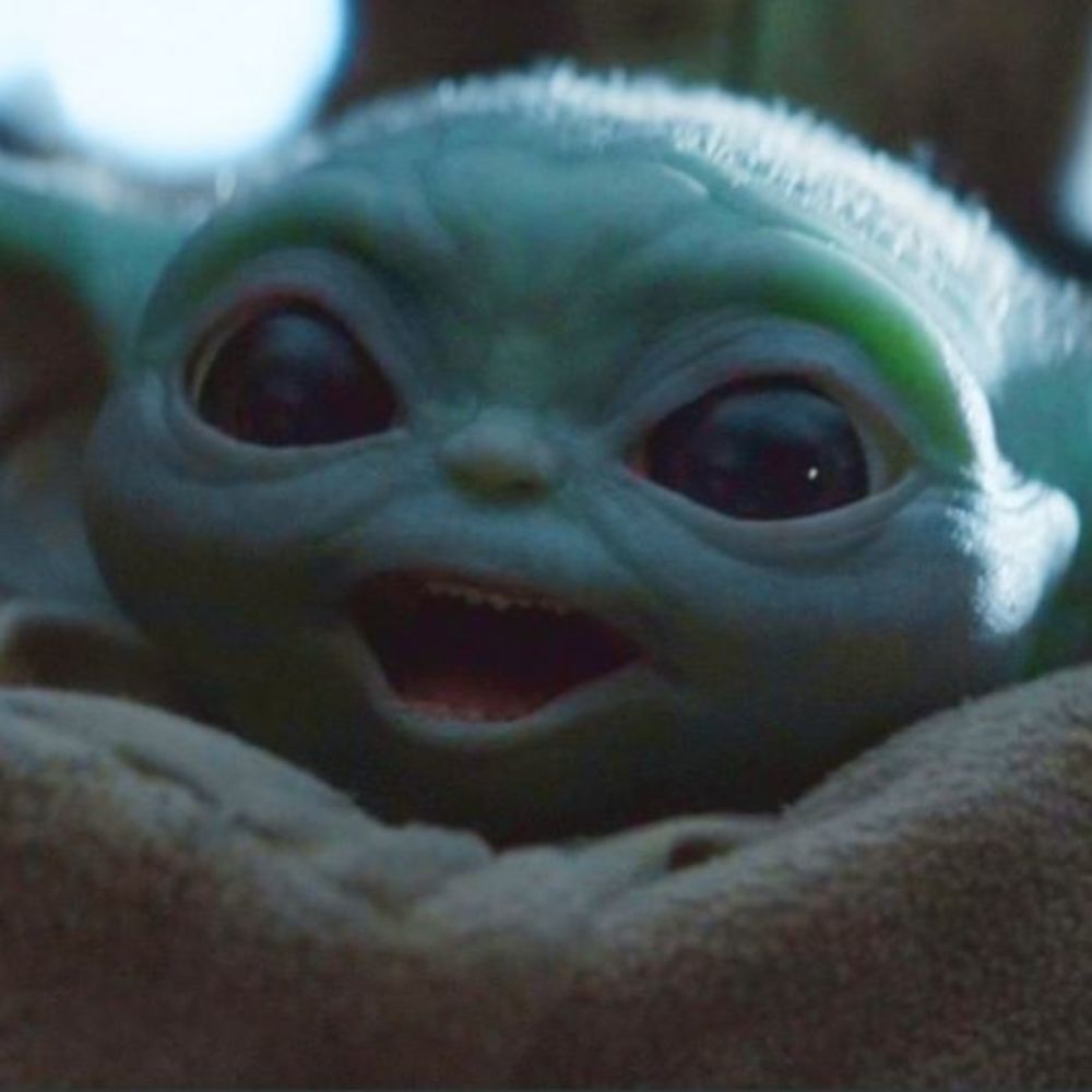 Meet your Posher, Krista